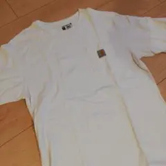 Item thumbnail for item 4c5a597b-a48e-47df-9c7b-f4aadc427d7b