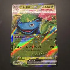 2026年最新】フシギバナ リザードン カメックスの人気アイテム - メルカリ