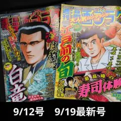 週刊漫画ゴラク2冊