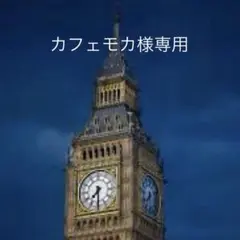 カフェモカ様専用