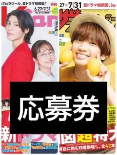 TVfan 月刊ザテレビジョン 応募券 応募用紙 テレビファン ザテレビジョン