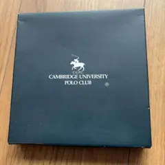 【新品】POLO ハンドタオル