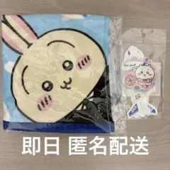 치이카와 ANA タオルハンカチ ステッカー5種 세트