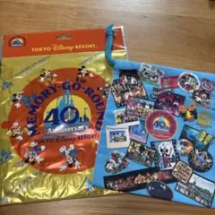 最終値下げ　ディズニーランド　40周年　ランダム巾着　当日発送可⭐︎のサムネイル