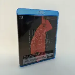 Item thumbnail for item 35029b7c-df8e-490a-a143-bdf5e3ea3881