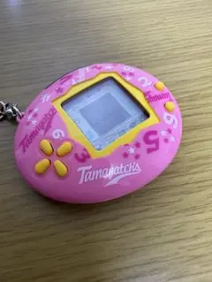 2026年最新】せーとぜーいんしゅーごっちスクールナンバーぴんくの人気