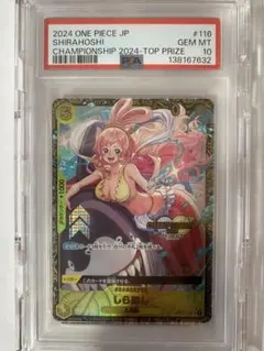 2026年最新】しらほし チャンピオンシップ psa10の人気アイテム - メルカリ