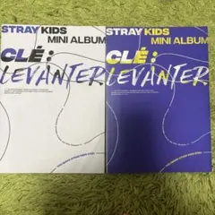 2026年最新】levanterの人気アイテム - メルカリ