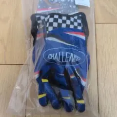竹*様 CHALLENGER 長瀬智也　グローブ　ハーレー　新品 竹*様 CHALLENGER 長瀬智也 グローブ ハーレー 新品 - メルカリ