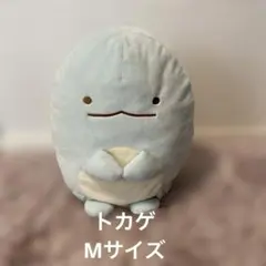 すみっコぐらし たぬきのまんまるレストラン もちもちぬいぐるみXL