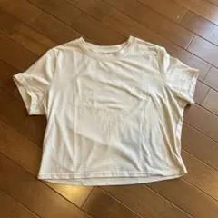 Item thumbnail for item 54768ee9-5f72-419d-8ed2-3b73979b4ae3