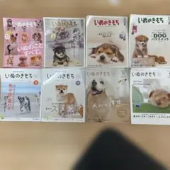 Item thumbnail for item af7092b9-f4a6-4de6-a900-d54e4bca2cc6