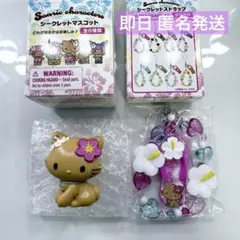 サンリオ トコナツバケーション シークレットマスコット チャーミーキティ