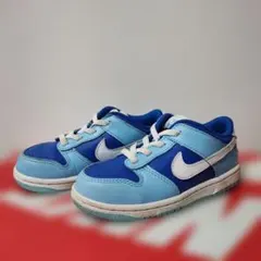 Nike Dunk Low 青水色 スニーカー