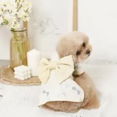 moncheri 冷感リボン柄浴衣 Sサイズのサムネイル
