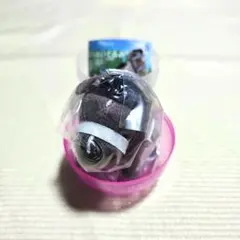 Item thumbnail for item f2346377-f42a-4bf8-9fc2-00afbfdfb4c1