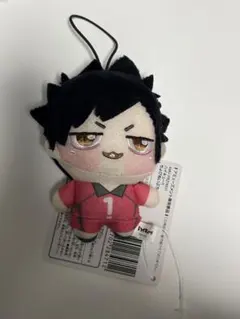 黒尾鉄朗 ちょぴぬいぷち