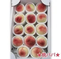 59.今年も大好評❤️★桃パパ★家庭用桃【送料無料】あら川ブランド桃のサムネイル