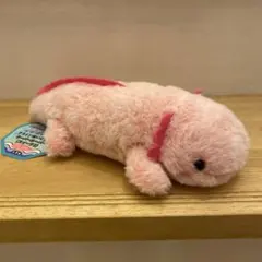 ウーパールーパーぬいぐるみ　クライン ウーパールーパーぬいぐるみ クライン