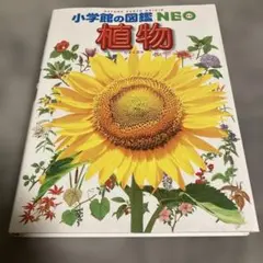 Item thumbnail for item fec594a9-cd26-491f-9f12-3b89df154597