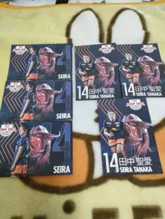 【新品非売品】RB大宮アルディージャWOMEN ポストカード 田中聖愛 6枚