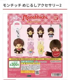 モンチッチ めじるしアクセサリー2