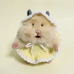 はむにぎり ぬい服 キャリーバスケット クーファン 薄水色 星の枕＆肌