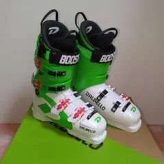 Item thumbnail for item 0e0bab57-58eb-480e-974e-f7f909af3af2