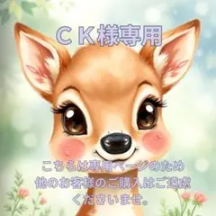 CK様 リクエスト 2点 まとめ商品