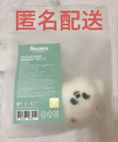 『匿名配送』TXT プルバトゥ バムグッ フェイスキーリング ボムギュ