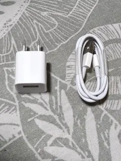 Apple Lightningケーブルと充電器セット