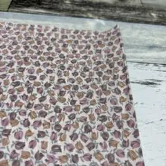 リバティタナローン 生地幅半分×20cmほど