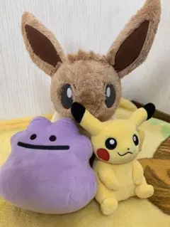 ポケモン  ぬいぐるみ ピカチュウ イーブイ メタモン