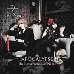 ヴィジュアル系CD Rose Noire APOCALYPSE Jill在籍 ヴィジュアル系CD Rose Noire APOCALYPSE Jill在籍 - メルカリ