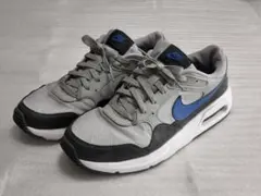 Nike Air スニーカー グレー/ブルー　２９㌢