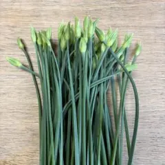 花ニラ 約500gのサムネイル