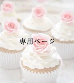 ❤️様 専用ページ