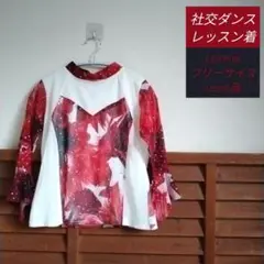 社交ダンス レッスン着 Leirena フリーサイズ used品