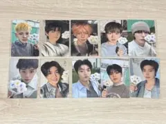 treasure pleasure mumo トレカ　コンプリート