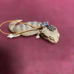 フトアゴヒゲトカゲ　おやすみシリーズ