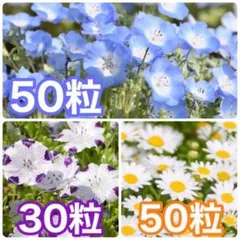 のこちゃん様 リクエスト 2点 まとめ商品