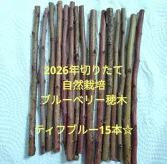 2026年最新】ブルーベリー穂木の人気アイテム - メルカリ