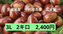 2025年最新】生栗の人気アイテム - メルカリ