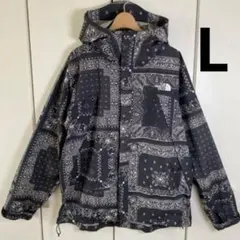 THE NORTH FACE ドットショット L バンダナ NP61535