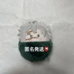 あ*）様 鬼滅の刃 不死川実弥 たぴぬい