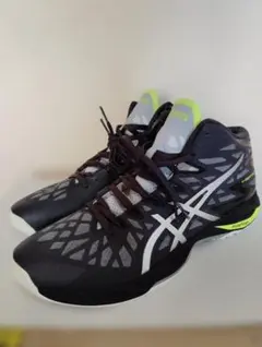 ASICS メタライズ 28.5cm - メルカリ