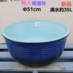 新品　∅50　陶器睡蓮鉢　特大　メダカ鉢　難有　エメラルドグリーン　緑黒　LBK 新品 特大50 陶器睡蓮鉢 メダカ鉢 難有 エメラルドグリーン 緑黒 高級