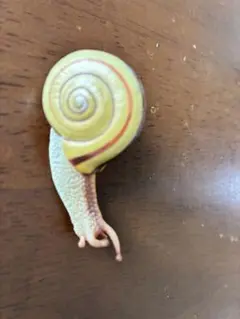 2026年最新】カタツムリ フィギュアの人気アイテム - メルカリ