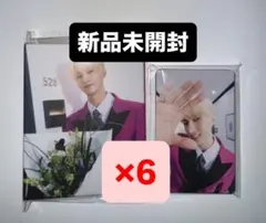 ドギョム spill the feels CARAT バインダー 24枚 トレカ