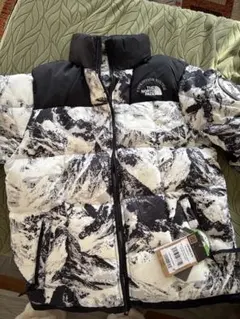 THE NORTH FACE L5 VERTICAL DOWN JACKET